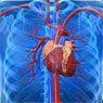 Heart Attack-آریتمی قلبی-انفارکتوس-ایست قلبی-حمله قلبی-درد قفسه سینه-سکته قلبی-عروق کرونری-عضله قلب-قلب-قلب قلب-قلبي-نارسایی قلبیآلزایمر-افسردگی-بیماری آلزایمر-درمان هورمونی-دمانس-دوران یائسگی-زنان یائسه-زوال عقل-یائسگیFibrocystic-بیماری-پستان-تغییرات فیبروکیستیک-توده خوش خیم پستان-خونریزی قاعدگی-درمان هورمونی-زنان-سرطان پستان-ضایعه خوش خیم پستان-فیبروکیستیک-فیبروکیستیک پستان-فیبروکیستیک سینه-کیست-لبول های پستان-یائسهپلیسه-پلیسه در چشم-پیلیسه-جسم خارجی در بینی-جسم خارجی در چشم-جسم خارجی در عضله-جسم خارجی در گلو-جسم خارجی در گوش-جسم خارجی در معده-عفونتارگاسم-استروژن-تستوسترون-درمان-دوران یائسگی-زنان-فعالیت جنسی-واژینال-یائسگی-یائسهبحران-تغذیه-تغذیه در بحران-تغذیه سالم-تغذیه شیرخوار-تغذیه کودک-سرشیشه-سلامت-شیر-شیر خشک-شیر مادر-شیرخوار-شیشه-کودکانآمنوره-استروژن-ترومبوآمبولی وریدی-حساسیت پستان-خونریزی واژینال-درمان هورمونی-رحم-زنان-سرطان-سرطان آندومتر-قاعدگی-هیپرپلازی-واژینال-یائسگی-یائسهاستروژن-اوفورکتومی-پروژسترون-پستان-تاموکسیفن-تحریک آندومتر-حاملگی-درمان هورمونی-رالوکسیفن-زنان-سرطان-سرطان پستان-ماموگرافی-هیسترکتومی-یائسگی-یائسهLDL-استروژن-بیماری قلبی-درمان هورمونی-رالوکسیفن-زن بدون رحم-زنان-قلبی - عروقی-کلسترول-میزان HDL